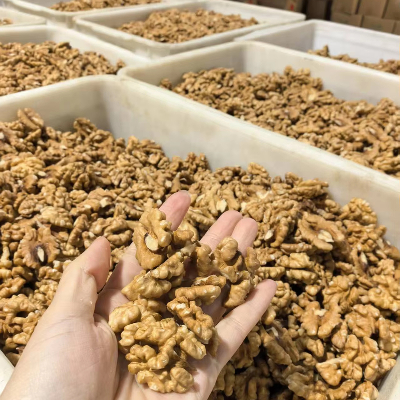 Hot Sale Organic Walnuts 185 Kernels