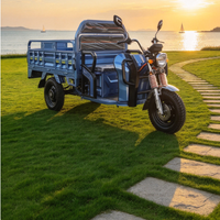 Tricycle électrique de transport de marchandises de qualité supérieure, vente directe d'usine, capacité de charge de 585 kg, moteur 72V 1500W avec toit et ceinture de sécurité