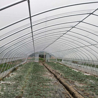Film plastique agricole personnalisé pour grandes surfaces, idéal pour la culture de fraises et de tomates, stable et économique, pour serres et plantations de légumes.