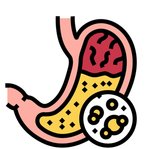 無料サンプル麻種子エキスGrade75麻種子小麦粉粉末有機麻種子タンパク質粉末 - Product Image 3