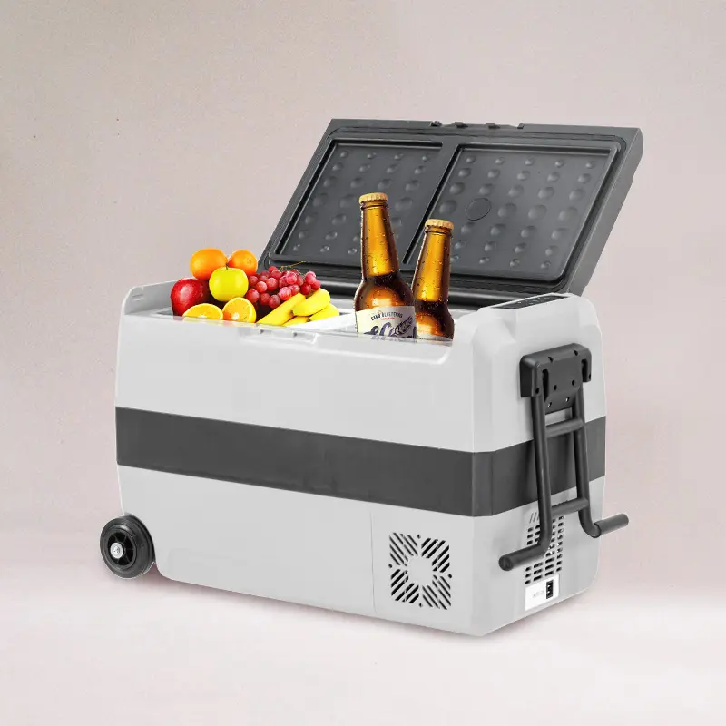 Auto Camping Off Road Compressor Cooler Fridge Portable Small Mini Dc Car Fridges