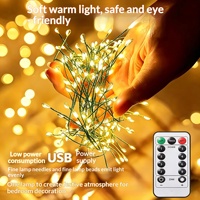 Lumières LED en forme de pétard, fil de cuivre, fil vert, télécommande, alimentation USB, décoration de Noël, éclairage festif de cour