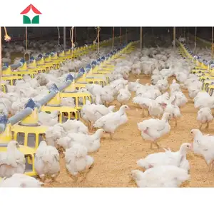 Cheap Chicken House Poultry Farm Prefabricated Building Steel Structure Commercial Farm Building Material For Farming House