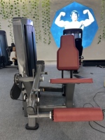 Siège et dossier ergonomiques rembourrés pour une posture d'entraînement confortable, machine combinée double fonction pour curls et extensions des jambes