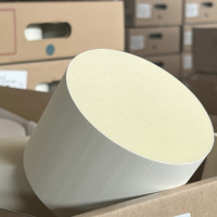 Convertisseur catalytique en céramique alvéolée de marque YF, catalyseur en cordiérite ovale, pour l'industrie automobile, norme d'émission Euro IV