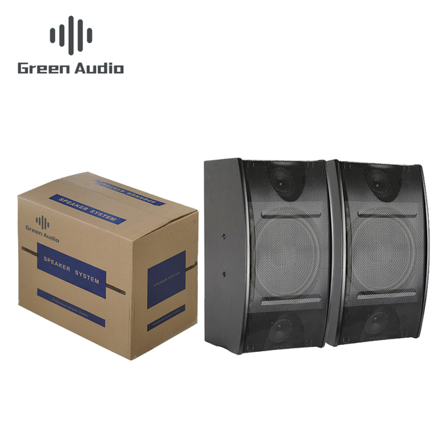 GAS-250 8 Inch 250w Professional Audio Video Dj Bass Speaker for Professional Audio, Video & Lighting Stage Performance