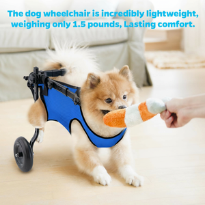<span class=keywords><strong>Chariot</strong></span> pliable à 2 roues en ABS respirant <span class=keywords><strong>pour</strong></span> chiens et chats handicapés - Aide à la marche et à la rééducation <span class=keywords><strong>pour</strong></span> animaux de compagnie - Fournitures transfrontalières <span class=keywords><strong>pour</strong></span> animaux de compagnie - Product Image 6