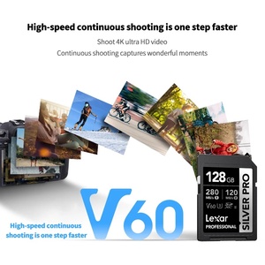 Carte mémoire professionnelle haute vitesse SILVER PRO UHS-II U3 V60 4K SDXC en plastique 64 Go 128 Go 256 Go 512 Go 1 To pour appareil photo LSDSIPR064G-R - Product Image 3