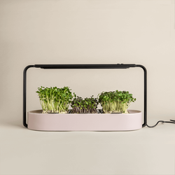 Système de culture hydroponique automatique Microgreen Kit horizontal Smart Garden Garden Kit de culture <span class=keywords><strong>d</strong></span>'herbes <span class=keywords><strong>d</strong></span>'<span class=keywords><strong>intérieur</strong></span> <span class=keywords><strong>D</strong></span>écoration <span class=keywords><strong>d</strong></span>'<span class=keywords><strong>intérieur</strong></span> - Product Image 5