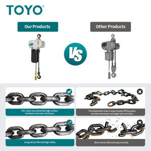 Offre Spéciale Japon Toyo Palan à chaîne 150Kg 500 Kgs sur roues pour grue - Product Image 2