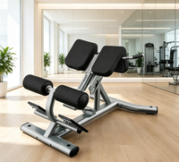Chaise romaine réglable pour extensions dorsales, banc abdominal, équipement de fitness commercial et domestique en acier au carbone de haute qualité, personnalisable