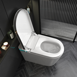 Nouvelle Conception WC Intelligent Électronique Allongé en Céramique pour Salle de Bain avec Télécommande DY107 Elon - Product Image 4