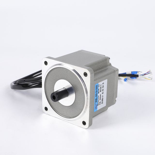 24V 48V 220V 40W 100W 200W 400W BLDC Motor Brushless Permanent Magnet BLDC Motor