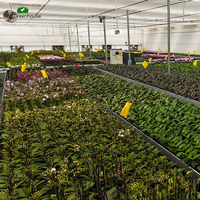 Grillage soudé en acier GT pour bacs de semis, serres et bancs roulants