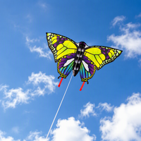 Cerf-volant professionnel en forme de papillon coloré, grand format, en tissu polyester stable pour l'extérieur, pour enfants et adultes, JINYUANFEI, respectueux de l'environnement