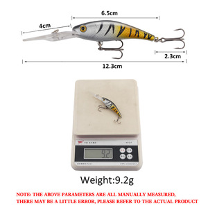 Leurre Artificiel Rigide Luya Transfrontalier 10cm/9.2G en Plastique, Type Crankbait avec Plaque Longue, Anneau Perlé, Leurre Minnow à Bouche Surélevée pour la Pêche - Product Image 5
