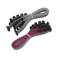 Câble Plat IDC 300mm Picoflex 6-40 Broches pour Ordinateur, Noyau en Cuivre, Isolation PVC, Gaine Silicone, Personnalisable