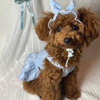Robe Jacquard Princesse pour Animaux de Compagnie Printemps-Été avec Ensemble Chapeau pour Chiens et Chats – Tenue Florale Adorable