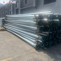 Cishine Poste de Lámpara Exterior Galvanizado de 6m, 7m, 8m, 9m, 10m, 12m, con Brazo Doble/Simple, Solar, Cónico, Octagonal, de Acero, para Alumbrado Público - Precio