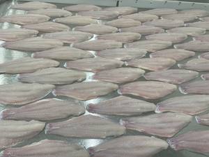 Vietnam Pangasius Basa Tra Swai Filet de poisson 10kg en vrac Style IQF avec haute teneur en vitamines Poisson congelé certifié HACCP - Product Image 5