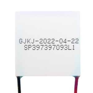 ตัวทำความเย็นเทอร์โมอิเล็กทริก SP397397093L1 แบบติดตั้งบนพื้นผิว สำหรับรถยนต์และอุปกรณ์เสริมความงาม - Product Image 3
