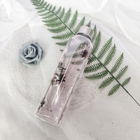 Bouteille à boisson en verre borosilicate avec couvercle en acier inoxydable, testée PPWR, gobelet transparent pour café, thé, jus et eau