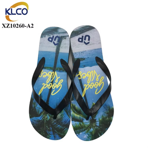 2024 High Quality Summer Slippers Men PVC <strong>Flip</strong> <strong>Flops</strong> Outdoor <strong>Printing</strong> Sandals Slippers Flipflops - Product Image 1