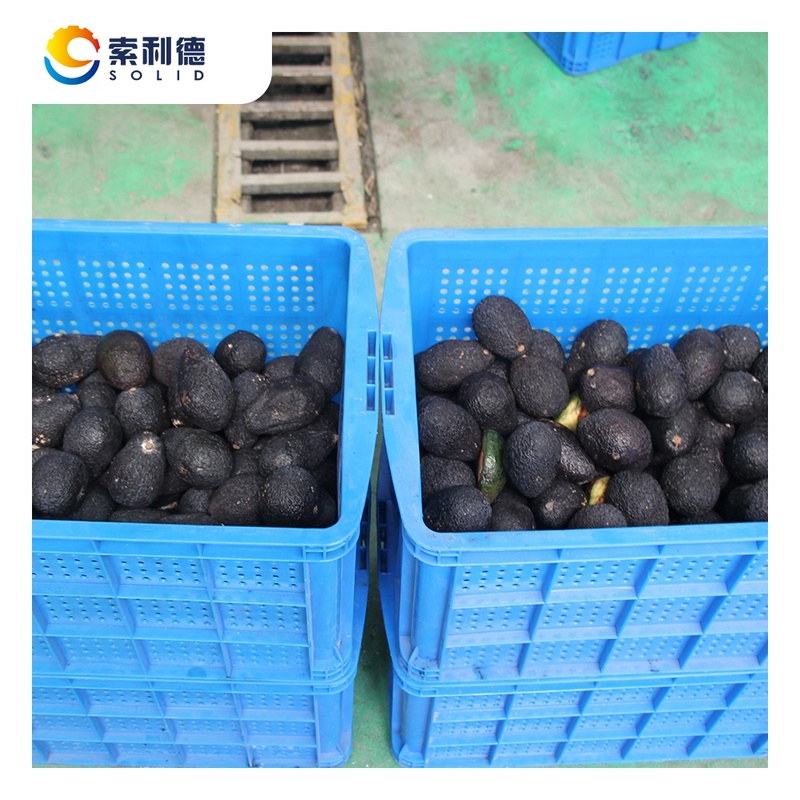 CPAO 500 500KG H Cold Pressed
