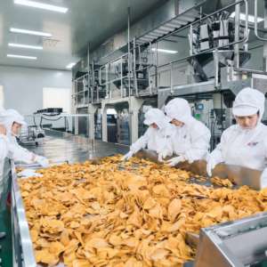 Chips de patate douce sucrées et acidulées, idéales pour les réunions de famille et les pauses au bureau - Product Image 4