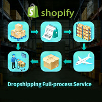 Agent Shopify, Agent de dropshipping, fournissant des services DDP pour les États-Unis, l'UE et l'Australie, gérant efficacement le traitement des commandes