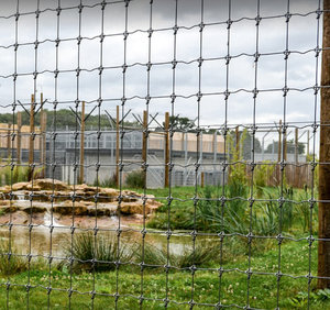 Clôtures galvanisées haute résistance pour la <span class=keywords><strong>protection</strong></span> des fermes et le contrôle de la faune / clôtures de champ - Product Image 4