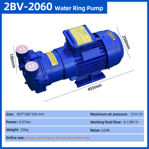 ปั๊มน้ำวงแหวนพลังงานสูง2BV-2060สำหรับใช้งานในอุตสาหกรรม - Product Image 2