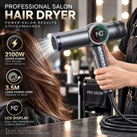 Torlin Professioneller Tierhaartrockner mit Großen und Kleinen Düsen, Diffusor, DC-Motor, Billion Ionic Salon-Haartrockner und Dampftrockner