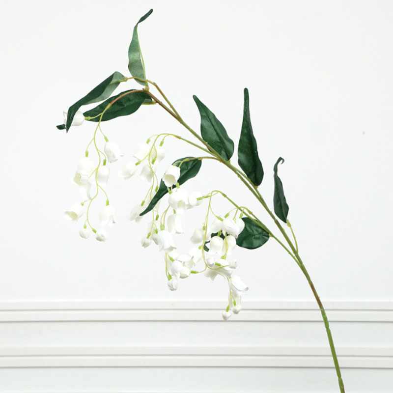 Fiore campana bianca