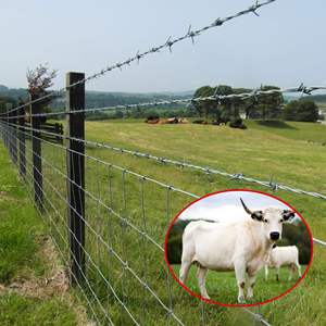 Malla de Alambre Galvanizado para Cercas de Ganado, Corrales de Vacas y Recintos de Animales, Tejido Holandés - Product Image 4