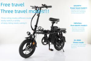 Importer cyclomoteur <span class=keywords><strong>à</strong></span> <span class=keywords><strong>assistance</strong></span> par pédale <span class=keywords><strong>vélo</strong></span> <span class=keywords><strong>électrique</strong></span> pliant 48v 250w chargeant la <span class=keywords><strong>batterie</strong></span> vélos <span class=keywords><strong>électrique</strong></span>s <span class=keywords><strong>à</strong></span> vendre <span class=keywords><strong>vélo</strong></span> <span class=keywords><strong>électrique</strong></span> 14 pouces - Product Image 3