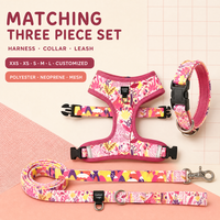 Ensemble Harnais, Collier et Laisse pour Animaux de Compagnie Imprimé par Sublimation, Écologique, Rembourré en Polyester et Néoprène, Type Gilet, Séchage Rapide – Vente Directe Usine