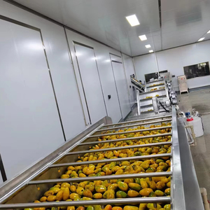 망고 필러 기계 망고 펄프 기계 천연 망고 펄프 가공 공장 생산 라인 - Product Image 1