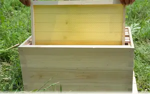 Marco de abeja con hoja de base de cera de abeja Marco de <span class=keywords><strong>colmena</strong></span> de abeja de madera profunda ensamblada para Apicultura - Product Image 2