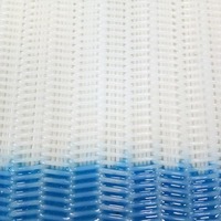 Toile filtrante en polyester spirale de haute qualité pour presse à filtre de type bande, pour le séchage et la déshydratation des boues, étanche