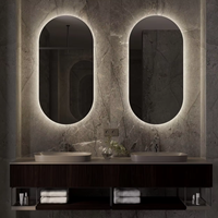Jinghu moderne LED salle de bain rétroéclairé miroir IP44 ovale gradable luminosité bouton tactile Anti-buée hôtel meubles fournitures sanitaires