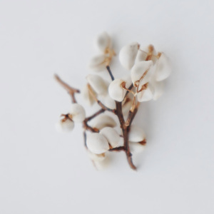 Graines de plantes naturelles, coquilles de fruits et de noix, matériaux artisanaux faits à <span class=keywords><strong>la</strong></span> main, cônes de pin, pistaches, fleurs séchées, <span class=keywords><strong>haricots</strong></span> pour pendentifs de Noël - Product Image 5