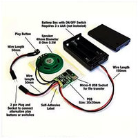 Module de puce sonore personnalisé en gros pour haut-parleur, carte de vœux, boîte à musique - Composants électroniques ABS écologiques
