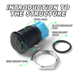 Ip65 không thấm nước quá trình oxy hóa chuyển đổi màu đen 16mm nút kim loại <span class=keywords><strong>push</strong></span> <span class=keywords><strong>button</strong></span> LED <span class=keywords><strong>push</strong></span> <span class=keywords><strong>button</strong></span> ánh sáng - Product Image 4