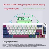 Clavier OEM en plastique à 75 % de touches magnétiques avec bouton de volume, sans fil/filaire 8 kHz, déclenchement rapide, faible latence pour les jeux de marque
