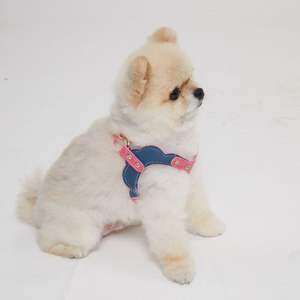 Arnés de Cuero Premium para Perro con Diseño de Moda y Logotipo Personalizado, Arnés Acolchado para Pasear Mascotas con Detalles de Cristal, Ropa de Lujo para Mascotas - Product Image 2