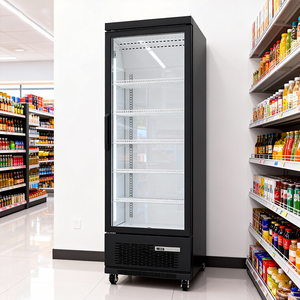 Vitrine réfrigérée à porte simple en verre pour supermarché, armoire réfrigérée verticale pour aliments surgelés - Product Image 1