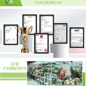 Plante artificielle en pot d'herbe persane d'aspect naturel 60cm en plastique écologique pour la maison, l'intérieur, le bureau et le <span class=keywords><strong>jardin</strong></span>. - Product Image 5