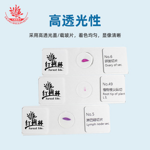 Biological Specimen Slide Set (25 slides / 50 slides) - Brand New Combination, Clear and Vivid Content, <b>Microscope</b> Accessories, - Product Image 3