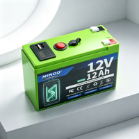Pack de batteries LiFePO4 12V, plusieurs couleurs de coque au choix, rechargeable, cycle profond, pour le camping et les situations d'urgence